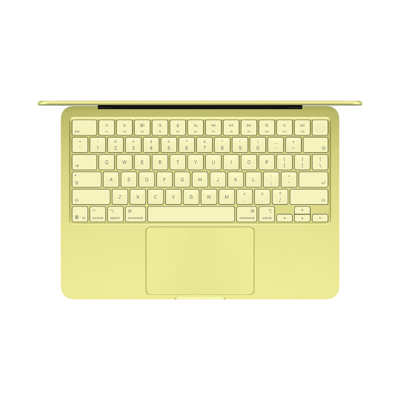 Apple 13
