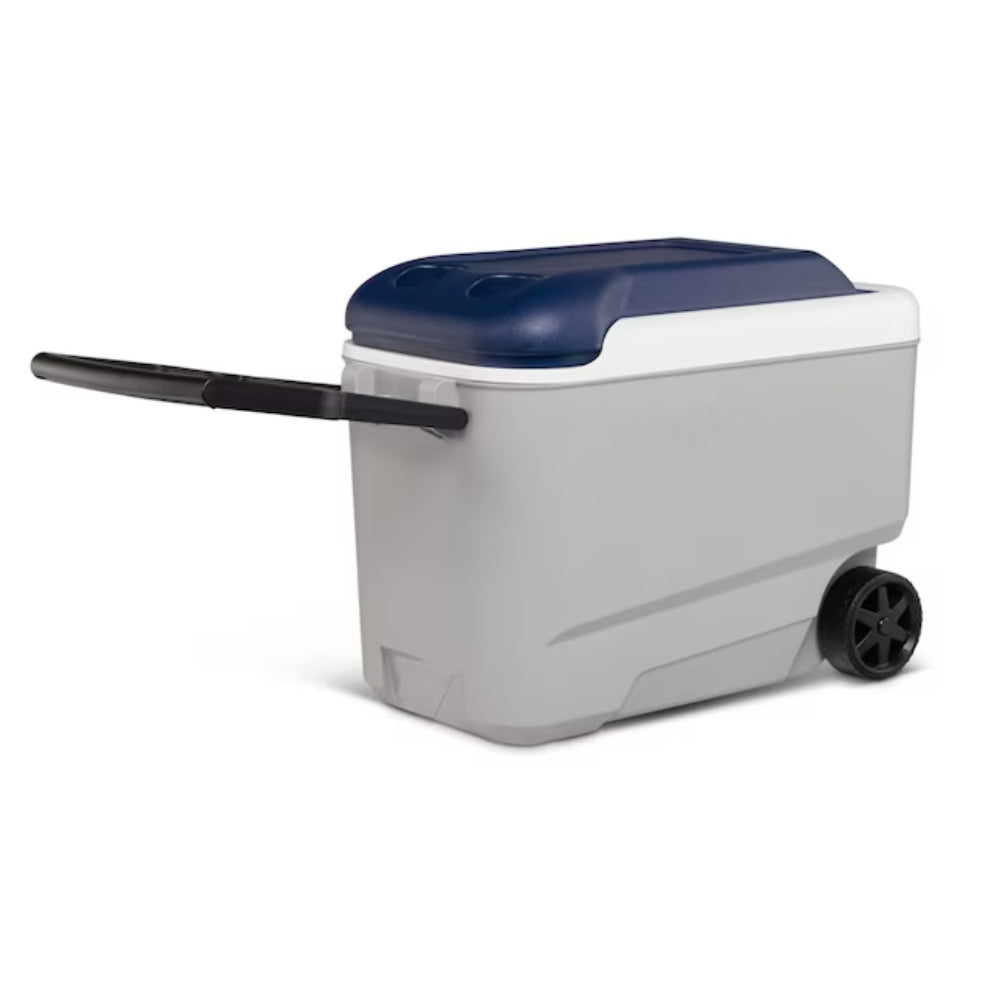 Igloo 00034814 Maxcold 40 Quart Cooler - Ash Gray