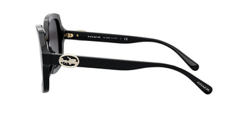 Gafas de sol Coach negras y grises