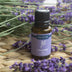 Candle Warmers 0.5  oz Essential Oil - Lavender - Curacao
