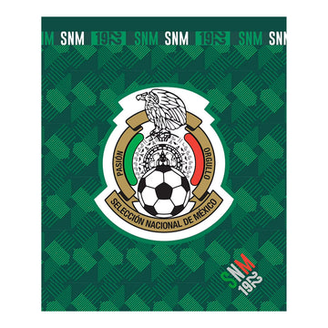 Silicon Valley 50" x 60" Mexico Borrego Lined Throw Blanket - Green