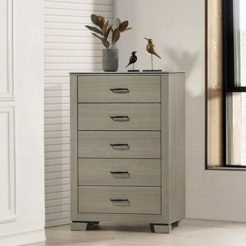 47" Joanna Chest by Acme Furniture - Gray