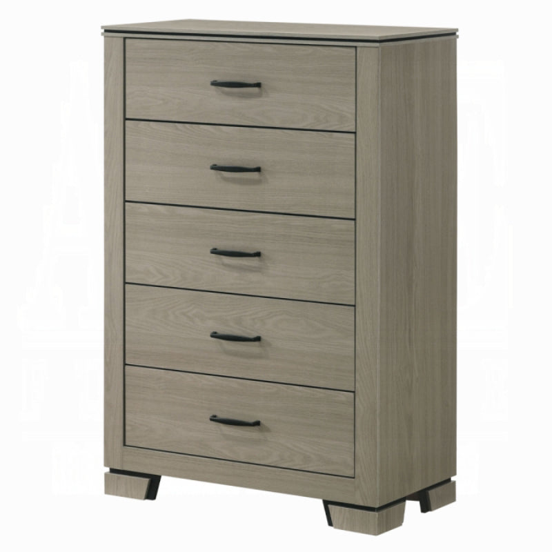 47" Joanna Chest by Acme Furniture - Gray