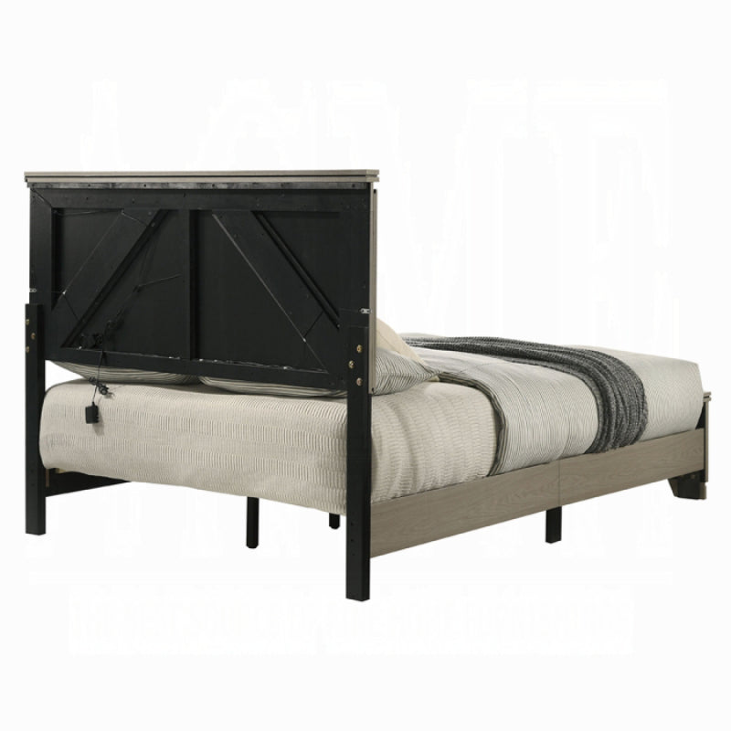 63" Joanna Queen Bed with LED by Acme Furniture - Gray