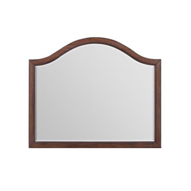 Phillipe 47" x 40" Mirror by Elements - Brown