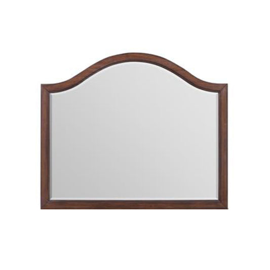 Phillipe 47" x 40" Mirror by Elements - Brown