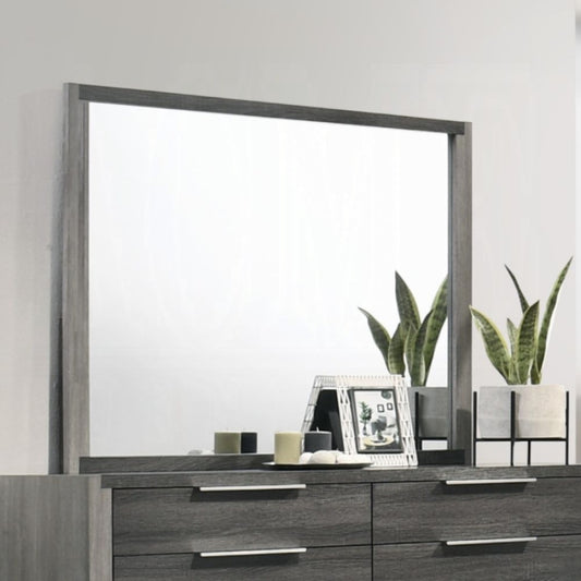 50" Jehoram Mirror by Acme Furniture - Gray