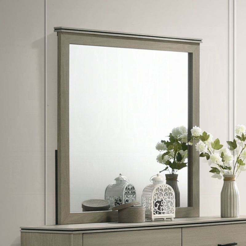 40" Joanna Mirror by Acme Furniture - Gray