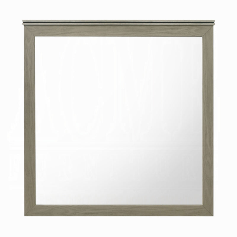 40" Joanna Mirror by Acme Furniture - Gray