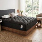 Spring Air Cobre 14.5" Plush Pillow Top Mattress - Black