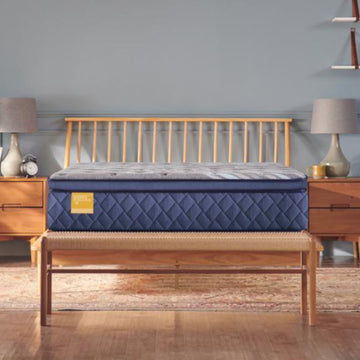 Sealy Featherton Soft Euro Pillow Top Soft Queen Mattress - Blue/Gray
