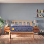 Sealy Remington Spring Euro Pillow Top Queen Size Mattress - Blue