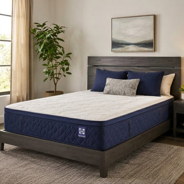 Sealy Dream Waves 14" Soft Euro Pillow Top Mattress- Blue/White