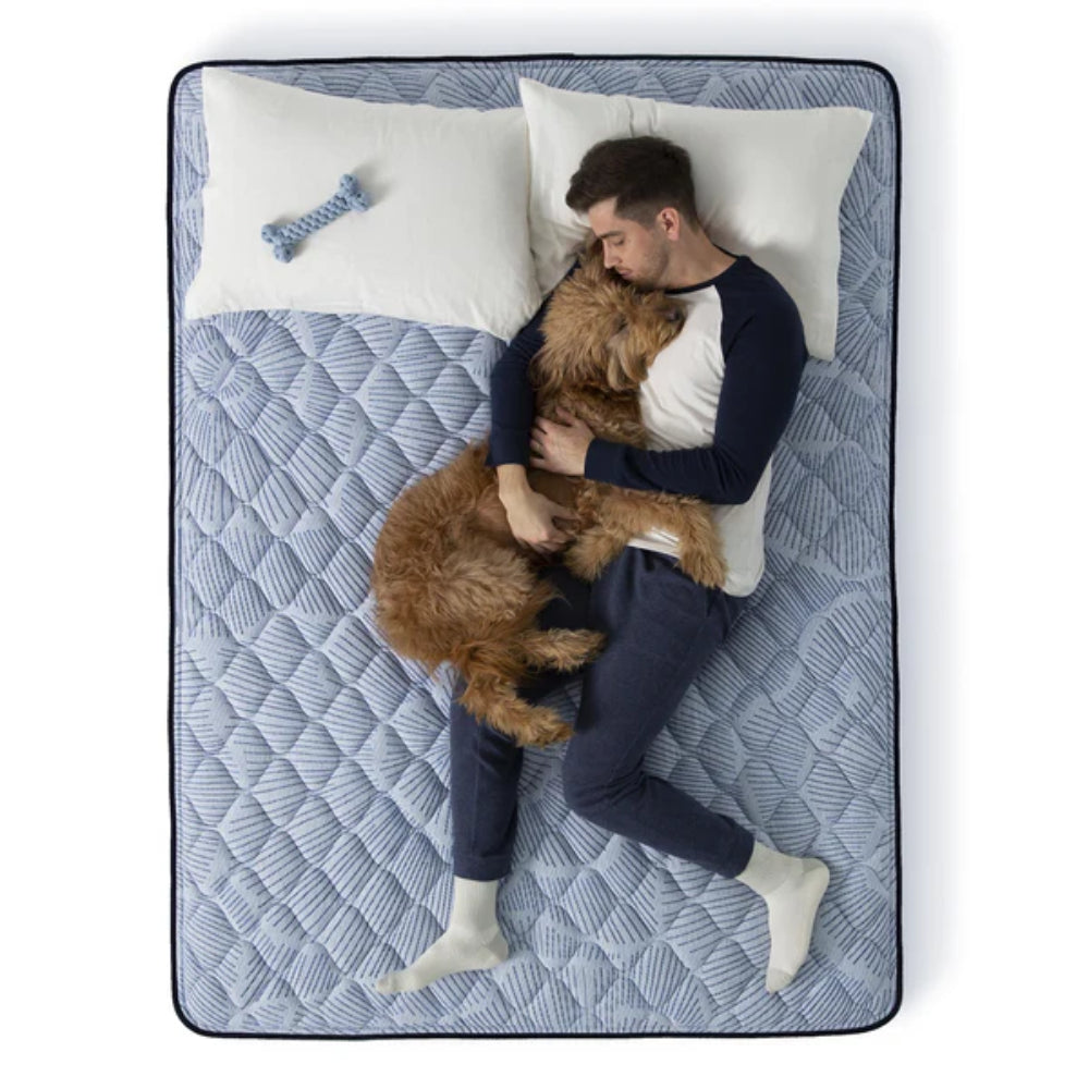 Serta Blue Lagoon Nights 12" Foam California King Mattress