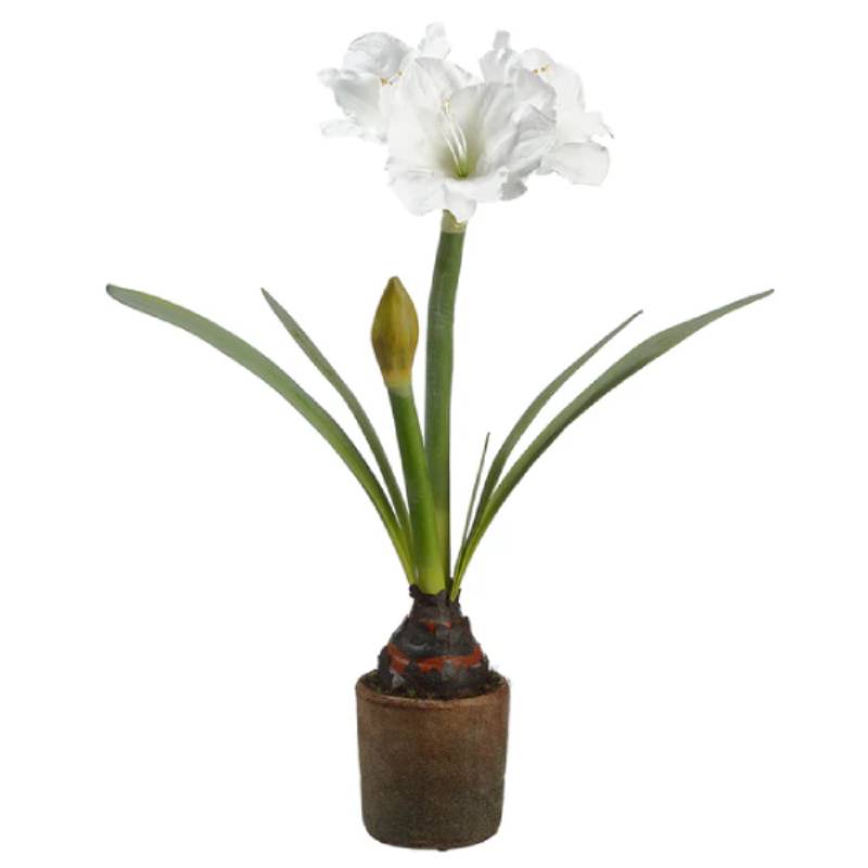 Allstate Floral 27.5" Silk Amaryllis with Bulb Flower Arrangement in Cement Pot - White