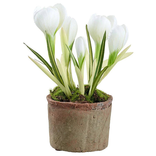 Allstate Floral 8.5" Crocus Flower Arrangement with Pot - White