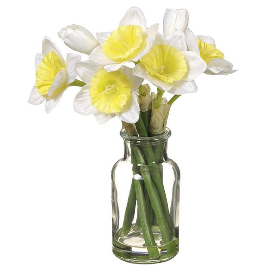 Allstate Floral 10" Daffodil Flower Arrangement with Glass Vase - White