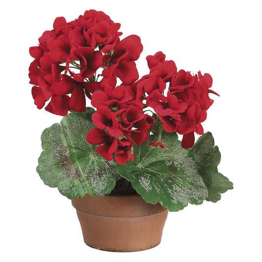Allstate Floral 9" Geranium Flower Arrangement with Terra Cotta Pot - Red