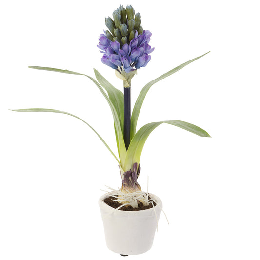 Allstate Floral 12" Hyacinth Bulb Flower Arrangement with Magnesium Oxide Pot - Blue