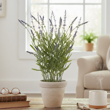 Allstate Floral 21" Lavender Flower Arrangement with Cement Pot - Purple