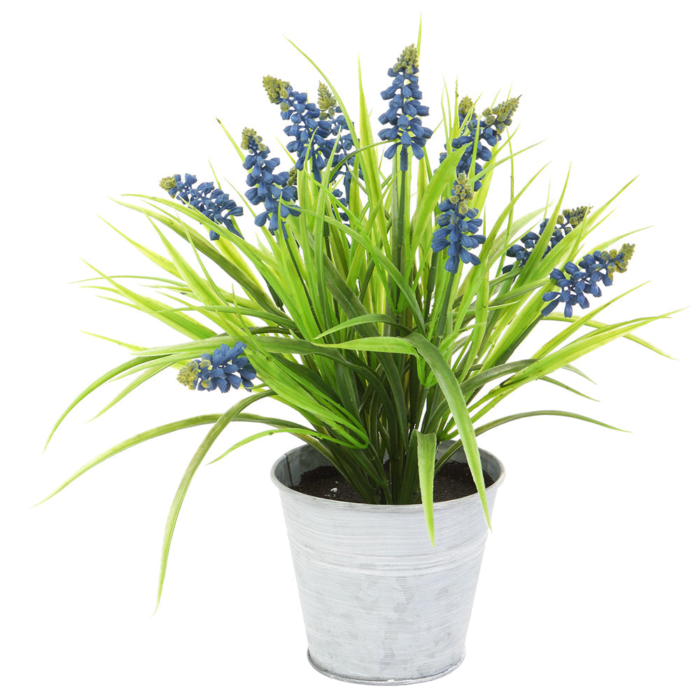 Allstate Floral 13.5" Muscari Flower Arrangement with Tin Pot - Blue