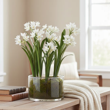 Allstate Floral 13" Paperwhite Flower Arrangement with Glass Pot - White