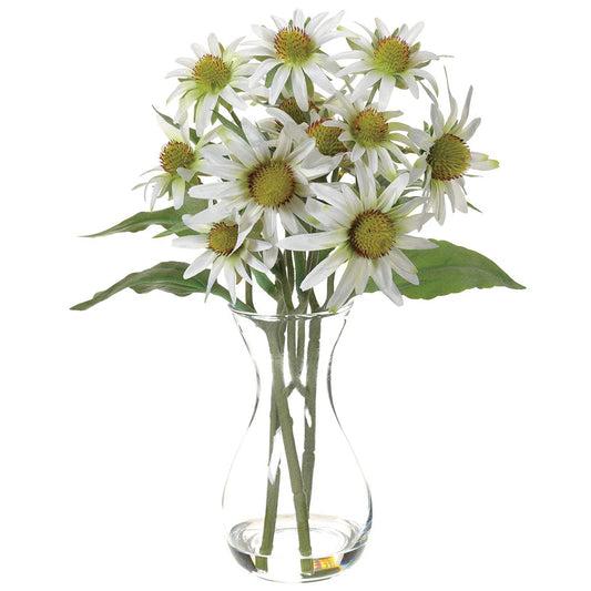 Allstate Floral 14" Rudbeckia Flower Arrangement with Glass Vase - White