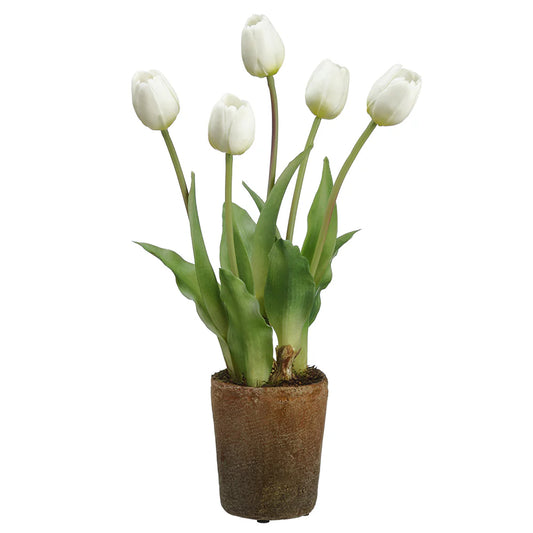 Allstate Floral 15.5" Tulip and Bulb Flower Arrangement with Cement Pot - White