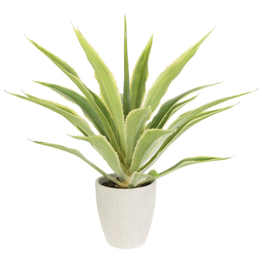 Allstate Floral 32" Agave Artificial Plant with Cement Pot - Green