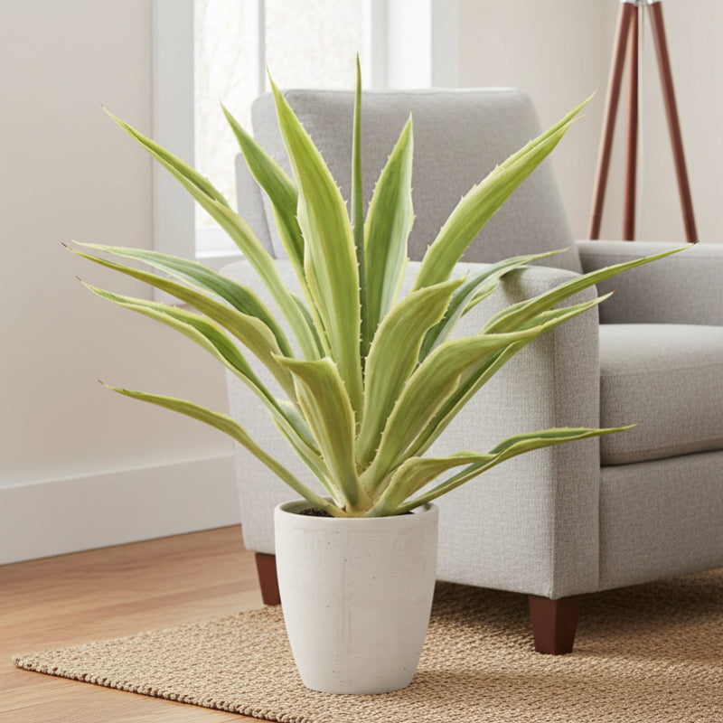 Allstate Floral 32" Agave Artificial Plant with Cement Pot - Green