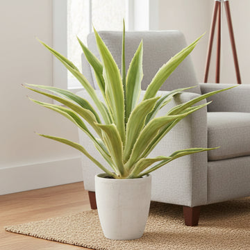 Allstate Floral 32" Agave Artificial Plant with Cement Pot - Green