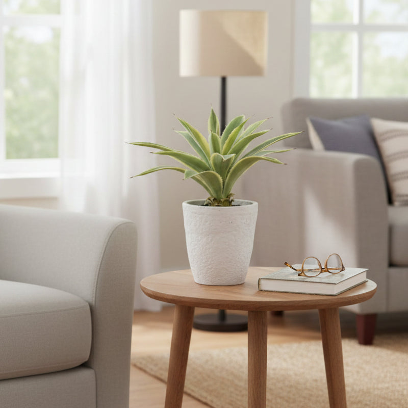 Allstate Floral 16" Agave Artificial Plant with Cement Pot - Green/Cream