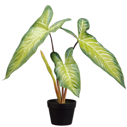 Allstate Floral 22.75" Alocasia Leaf Silk Plant with Pot - Green
