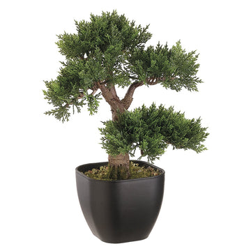 Allstate Floral 15" Artificial Cedar Silk Bonsai Tree with Vase - Green
