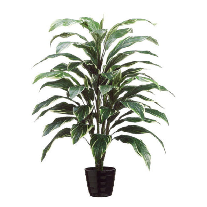 Allstate Floral 40" Cordyline Plant with Plastic Vase