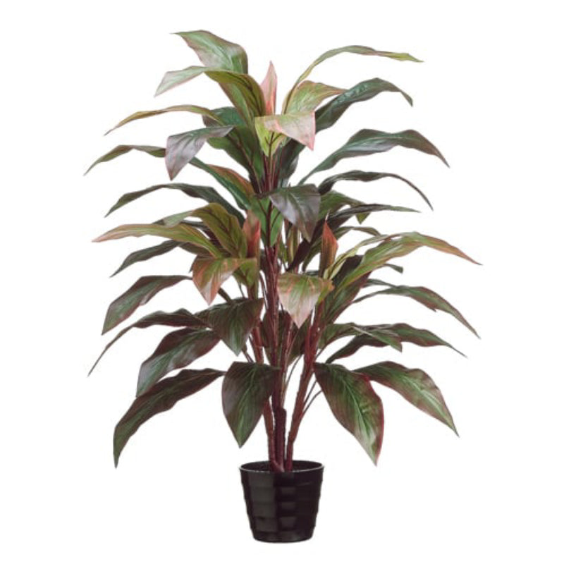 Allstate Floral 40" Cordyline Plant with Plastic Vase
