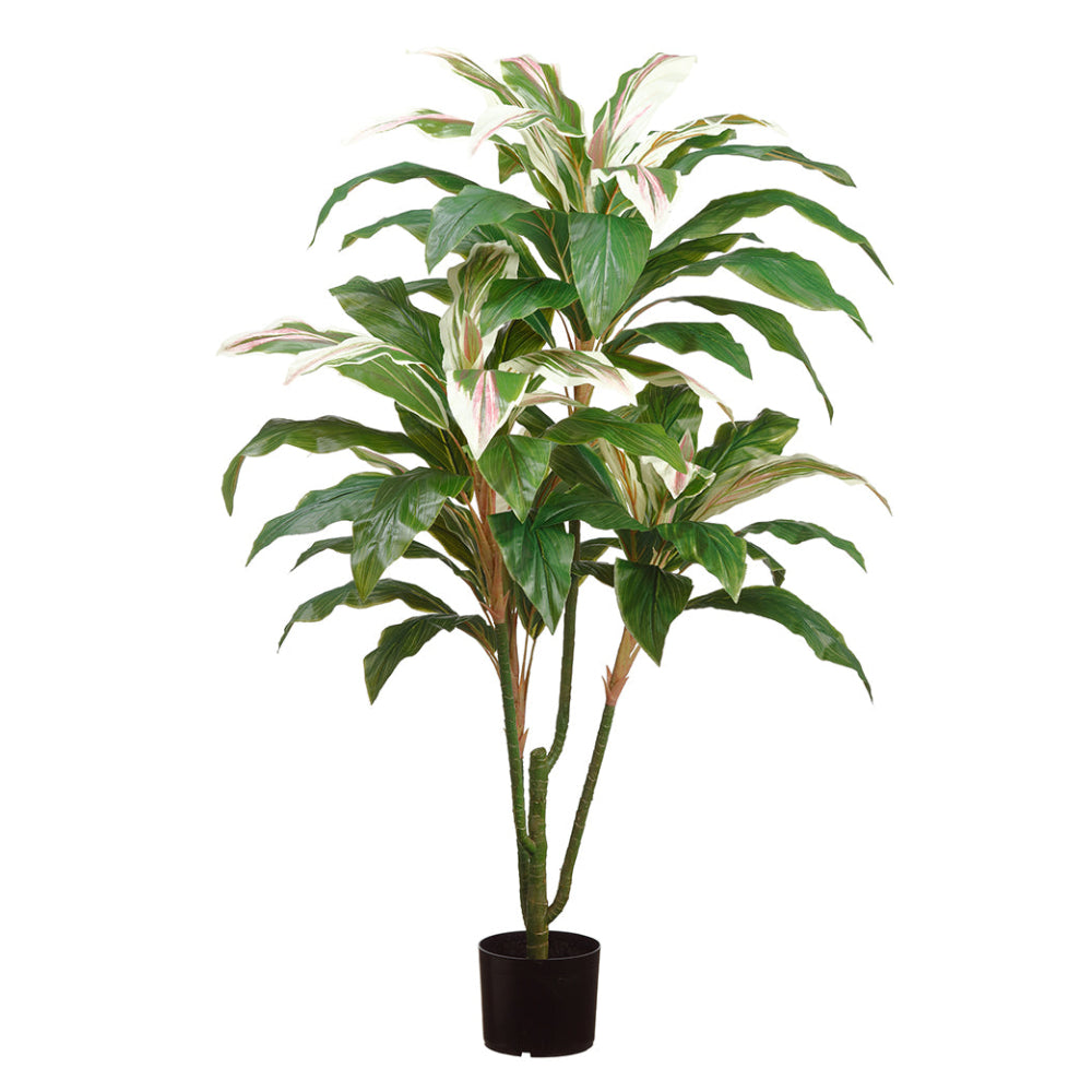 Allstate Floral 55" Real Touch Cordyline Plant with Plastic Vase - Green/White