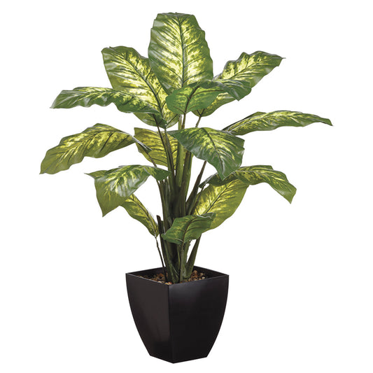 Allstate Floral 40" Dieffenbachia Plant with Plastic Vase - Green