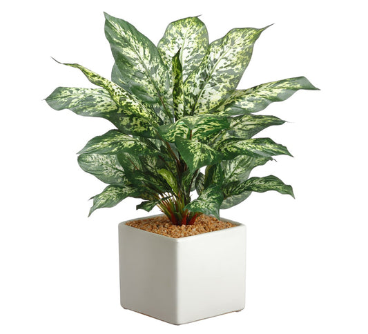Allstate Floral 17.5" Dieffenbachia Plant with Ceramic Vase - Green