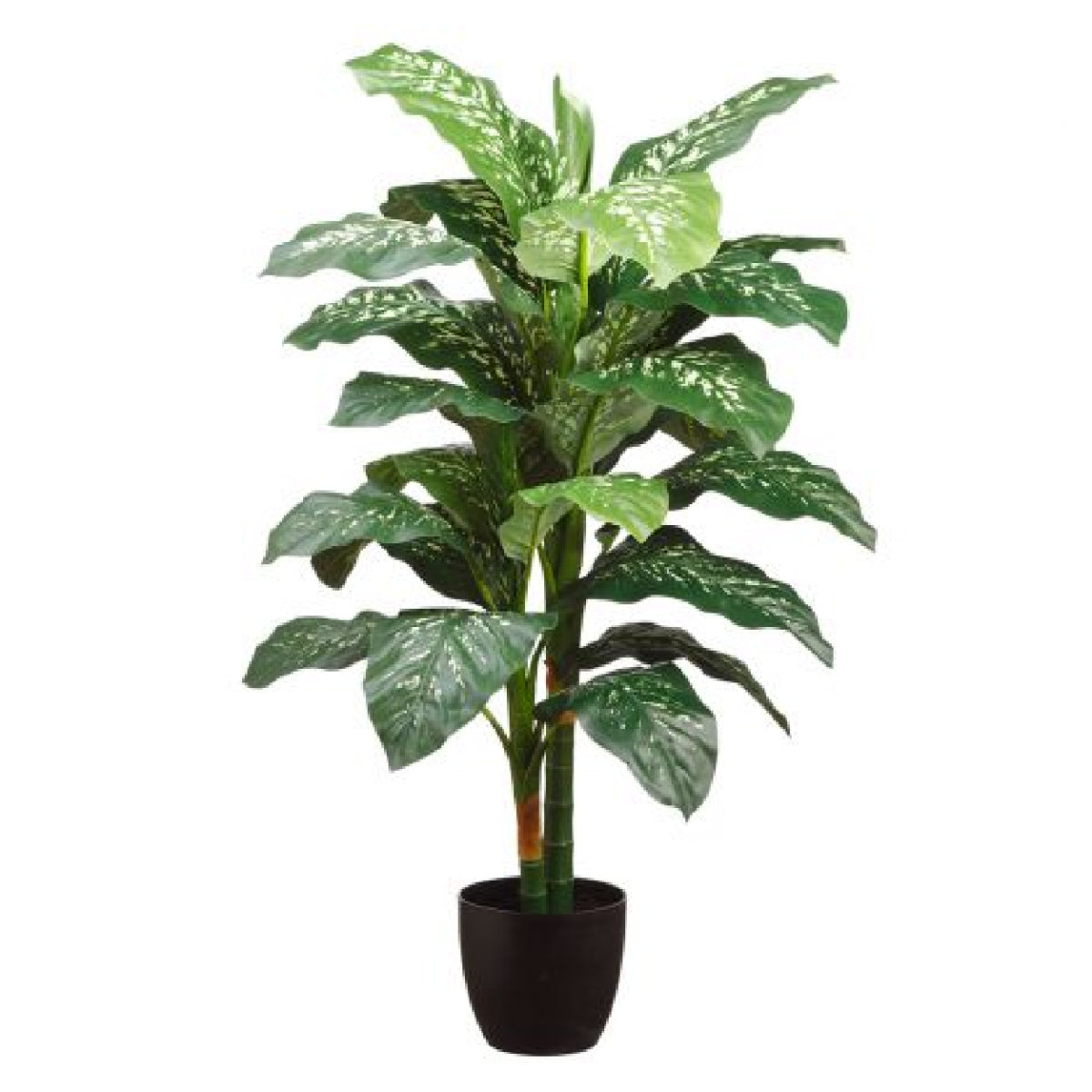Allstate Floral 48