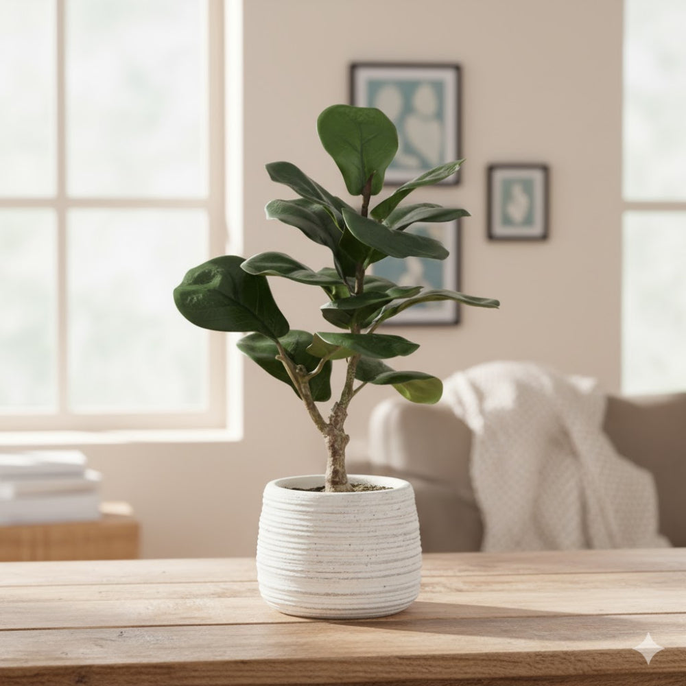 Allstate Floral 14" Fiddle Leaf Fig Plant with Cement Vase - Green