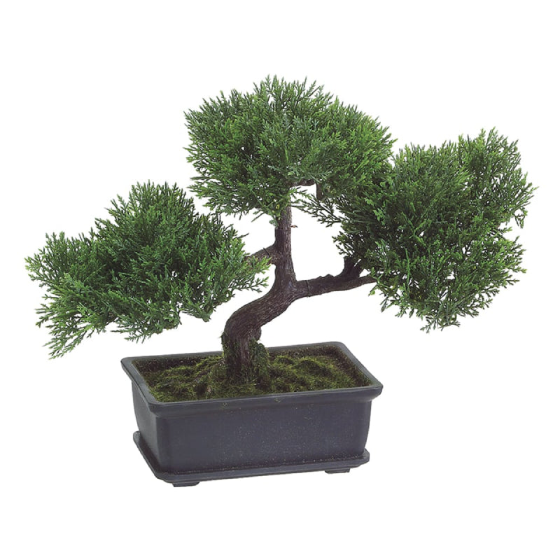 Allstate Floral 9" Artificial Cedar Bonsai Tree with Rectangle Pot - Green