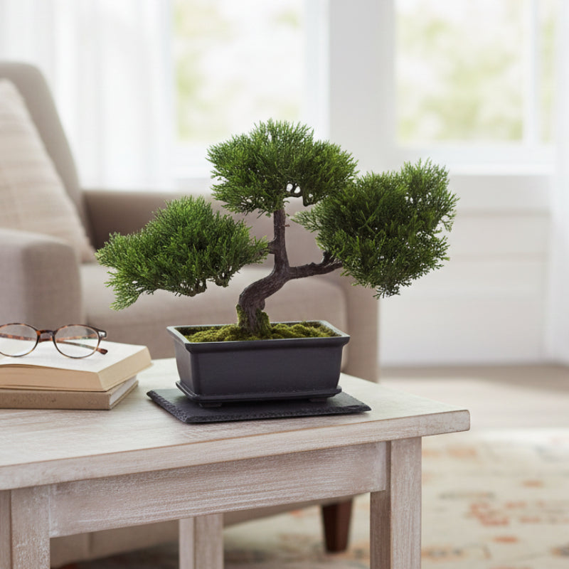 Allstate Floral 9" Artificial Cedar Bonsai Tree with Rectangle Pot - Green