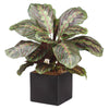 Allstate Floral 17.7" Maranta Leaf Artificial Plant with Ceramic Pot - Green/Red