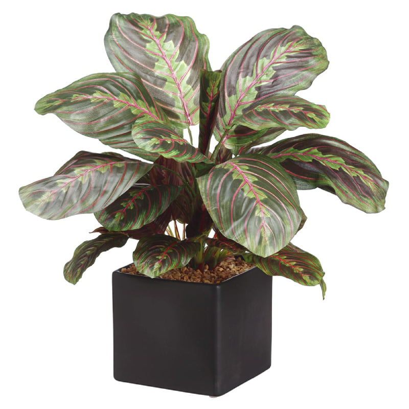 Allstate Floral 17.7" Maranta Leaf Artificial Plant with Ceramic Pot - Green/Red