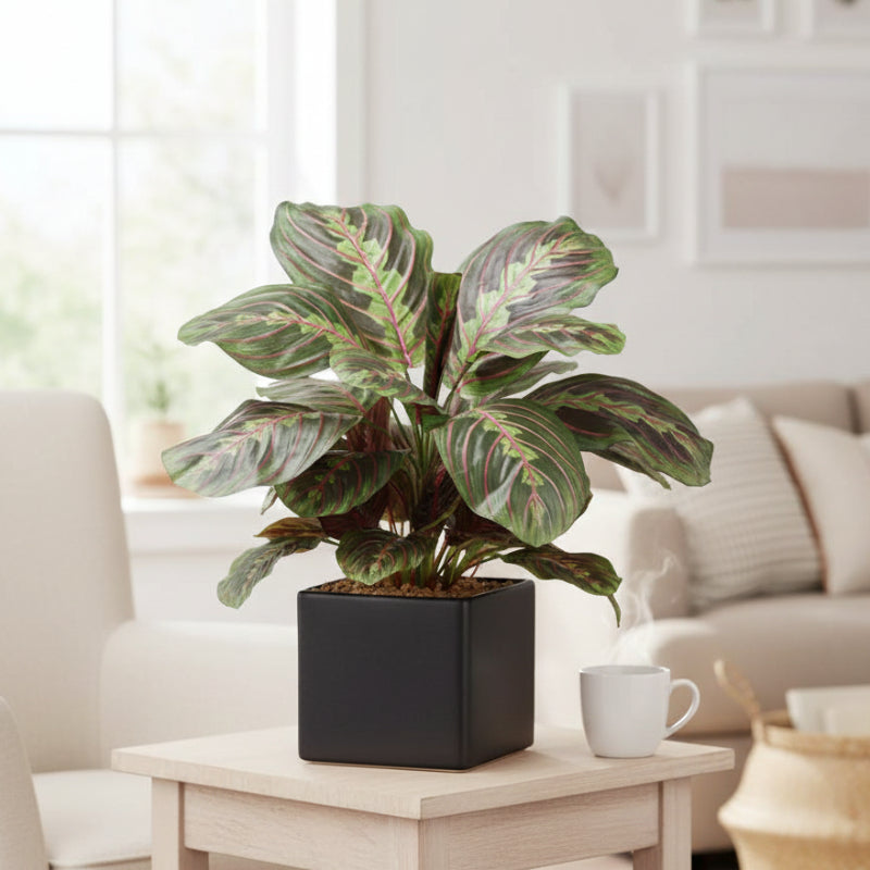 Allstate Floral 17.7" Maranta Leaf Artificial Plant with Ceramic Pot - Green/Red