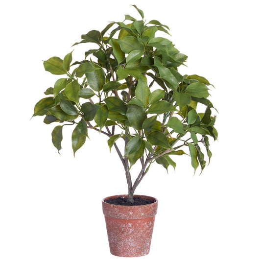 Allstate Floral 15.5" Pomelo Leaf Plant with Plastic Pot - Green
