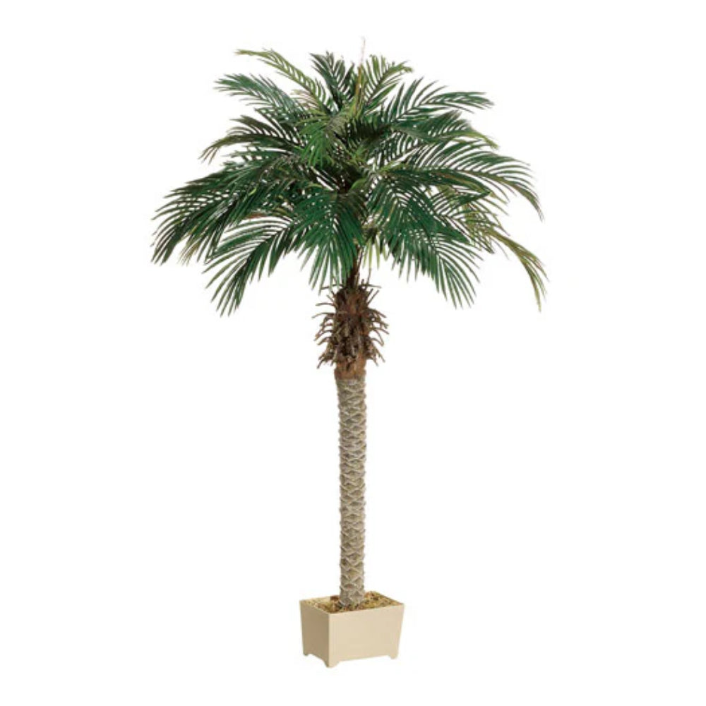 Allstate Floral 63" Phoenix Palm Tree - Green