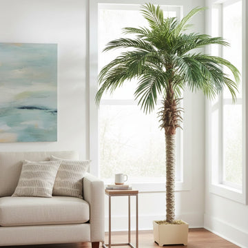Allstate Floral 63" Phoenix Palm Tree - Green