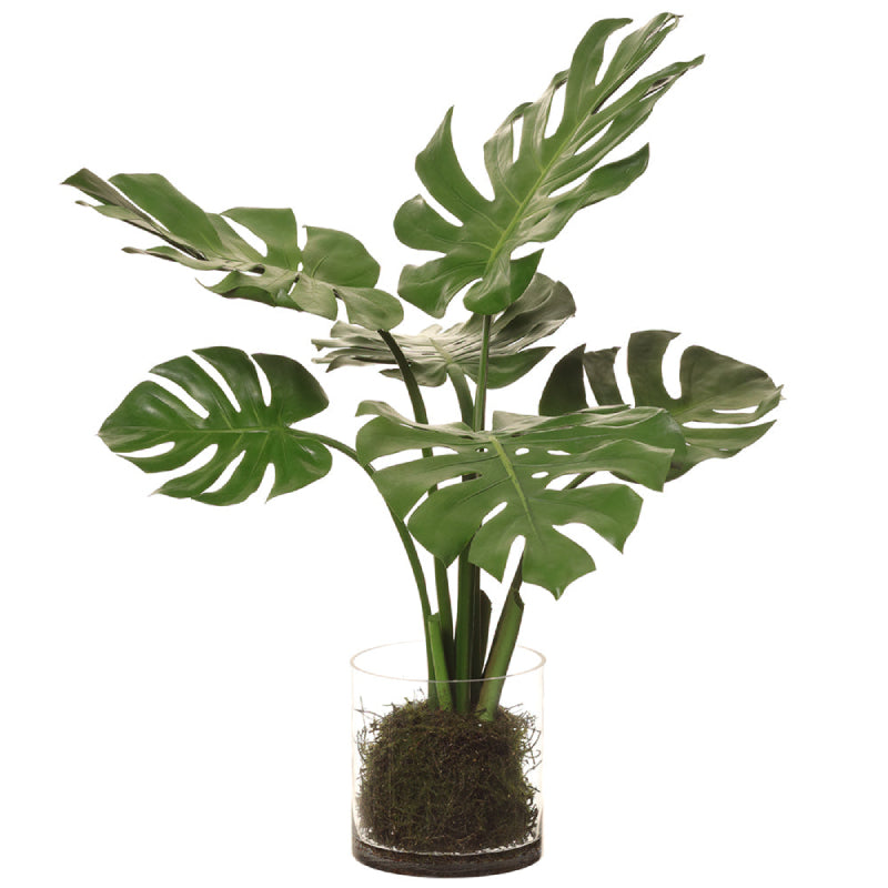 Allstate Floral 35" Split Philodendron Monstera Leaf Plant with Ceramic Vase - Green